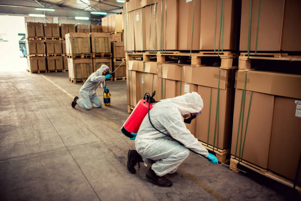 Best Cockroach Control Services  in Sumner, IA