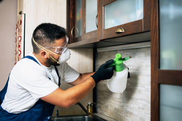 Best Cockroach Control Services  in Sumner, IA