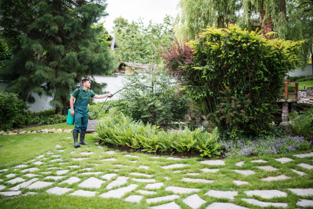 Best Local Pest Control Services  in Sumner, IA