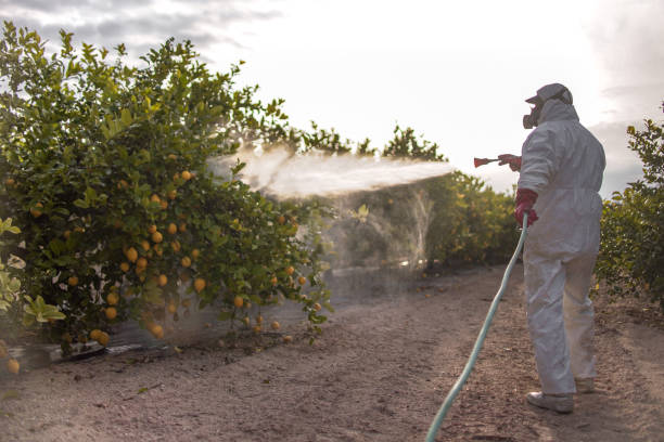 Pest Control Cost in Sumner, IA