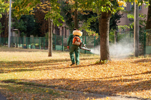 Best Mosquito Control Services  in Sumner, IA