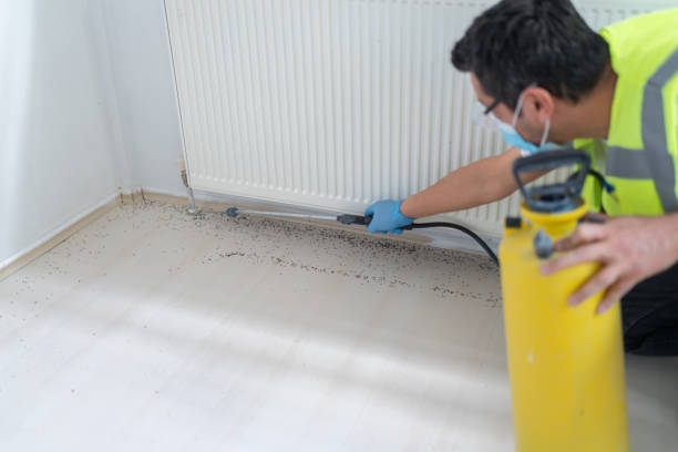 Best Best Pest Control Companies  in Sumner, IA