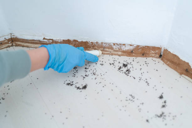 Best Residential Pest Control  in Sumner, IA